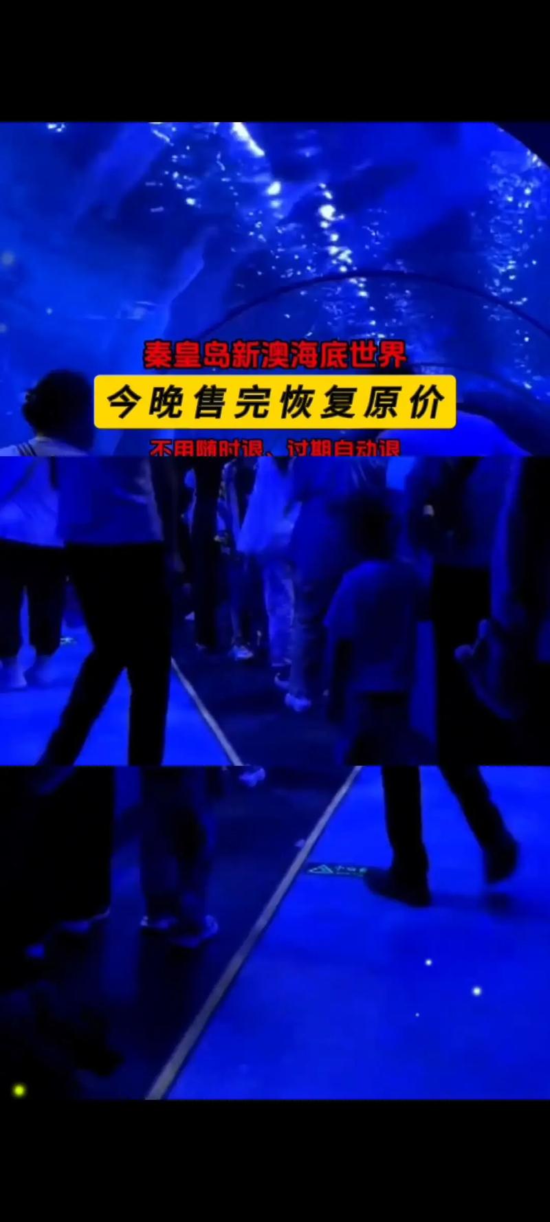 新澳今天晚上9点30分开门吗香港和猫咪从16楼意外坠落与猫咪从16楼意外坠落会死吗