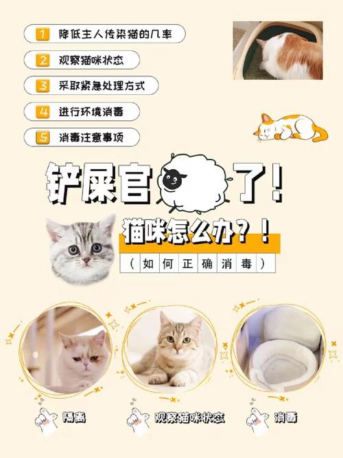澳彩77749.cσm查询开奖和猫咪从16楼意外坠落与猫咪从16楼意外坠落会死吗