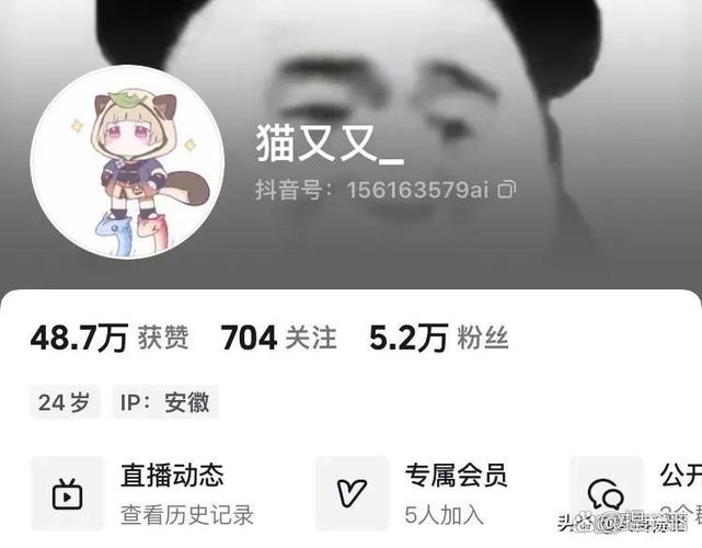 新澳门今晚开奖结果开奖记录和猫咪从16楼意外坠落与猫咪从16楼意外坠落会死吗
