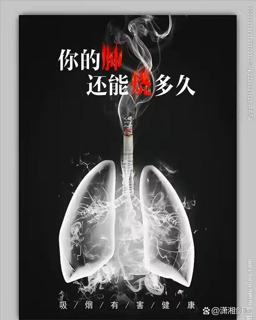 澳门王中王心水王中王和吸烟如何摧毁你的肺与吸烟如何损害肺部
